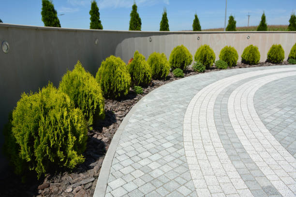 Best Custom Driveway Pavers  in Moosup, CT